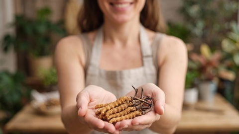 Cordyceps sinensis su neįtikėtinu gyvenimo ciklu