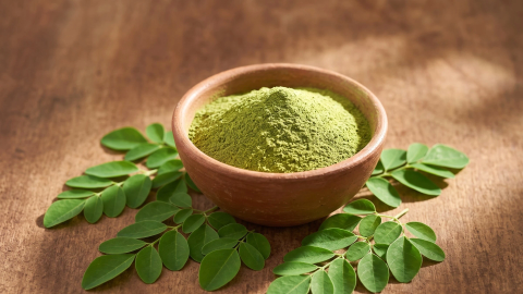 Aliejinė moringa (Moringa oleifera)